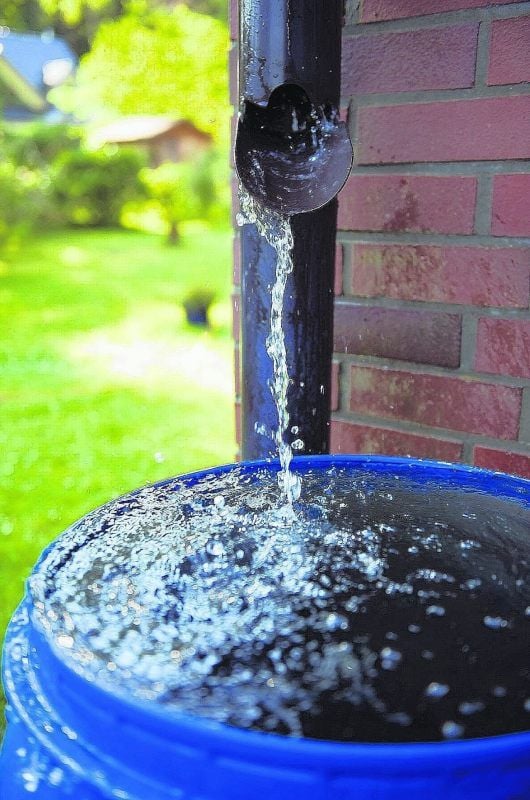 Müssen Hausbesitzer, die Regenwasser auffangen, trotzdem für die Entwässerung zahlen?