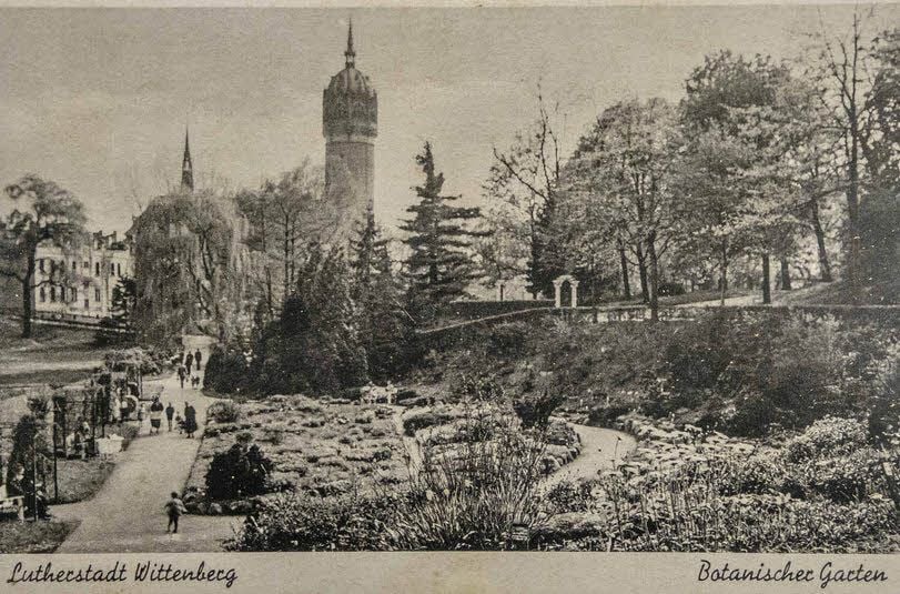 Auf dieser Postkarte ist noch der Botanische Garten in Lutherstadt Wittenberg ausdrücklich benannt.