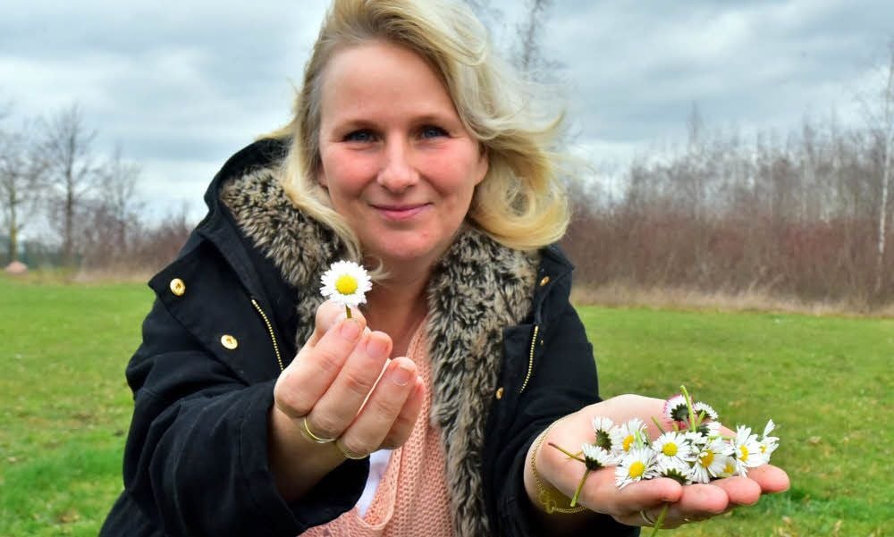 Sandra Stempel zupft gerade einige Gänseblümchen - das ist zugleich die Heilpflanze des Jahres 2017.