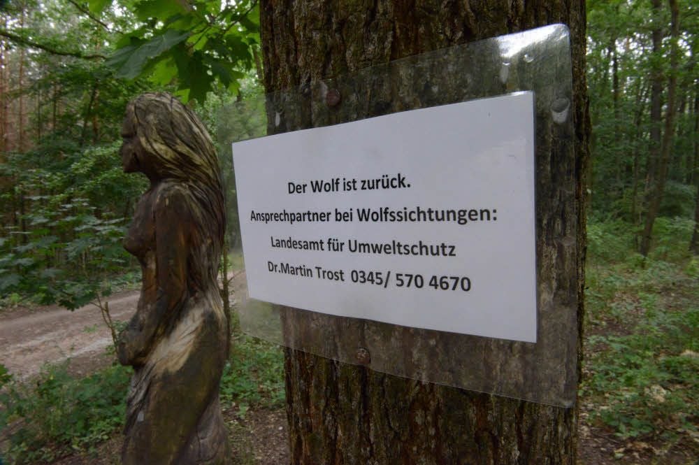 Ein Scherz - aber das Schild sorgte in der Dölauer Heide für Aufsehen.