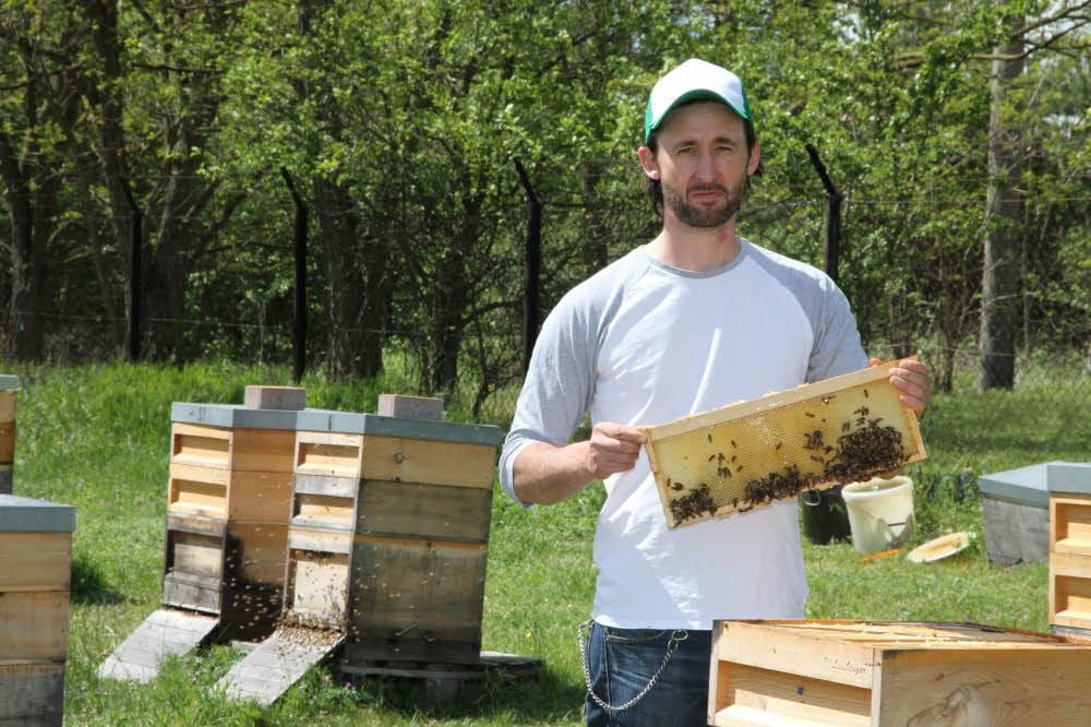 16 Bienenvölker hält der gebürtige Bad Kösener am Göttersitz - eine ideale Lage am Rande des gleichnamigen Naturschutzgebietes.