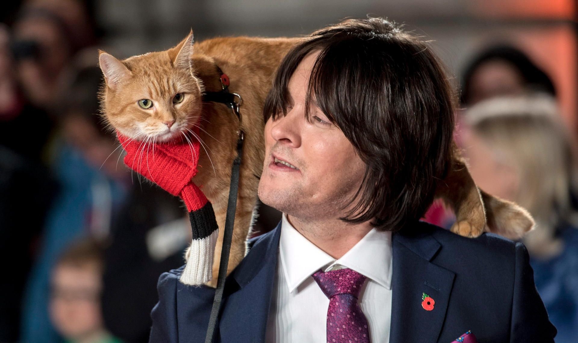 London, Anfang November 2016: Der britische Schriftsteller und Musiker James Bowen und seine Katze Bob treffen zur Weltpremiere von „A Street Cat Named Bob“ ein.