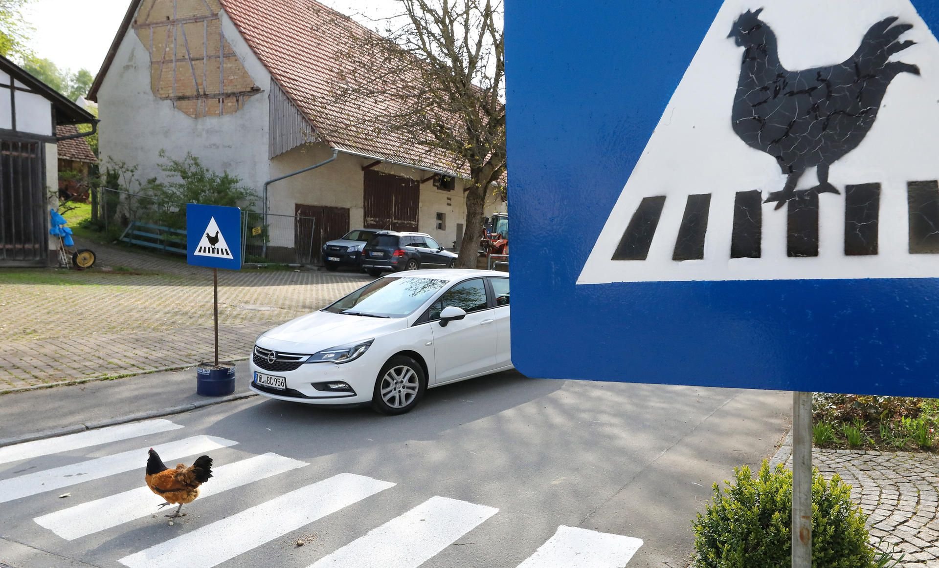 Einen Zebrastreifen mit Verkehrsschildern für Hühner hat ein Anwohner als Scherz für den benachbarten Bauernhof aufgestellt.