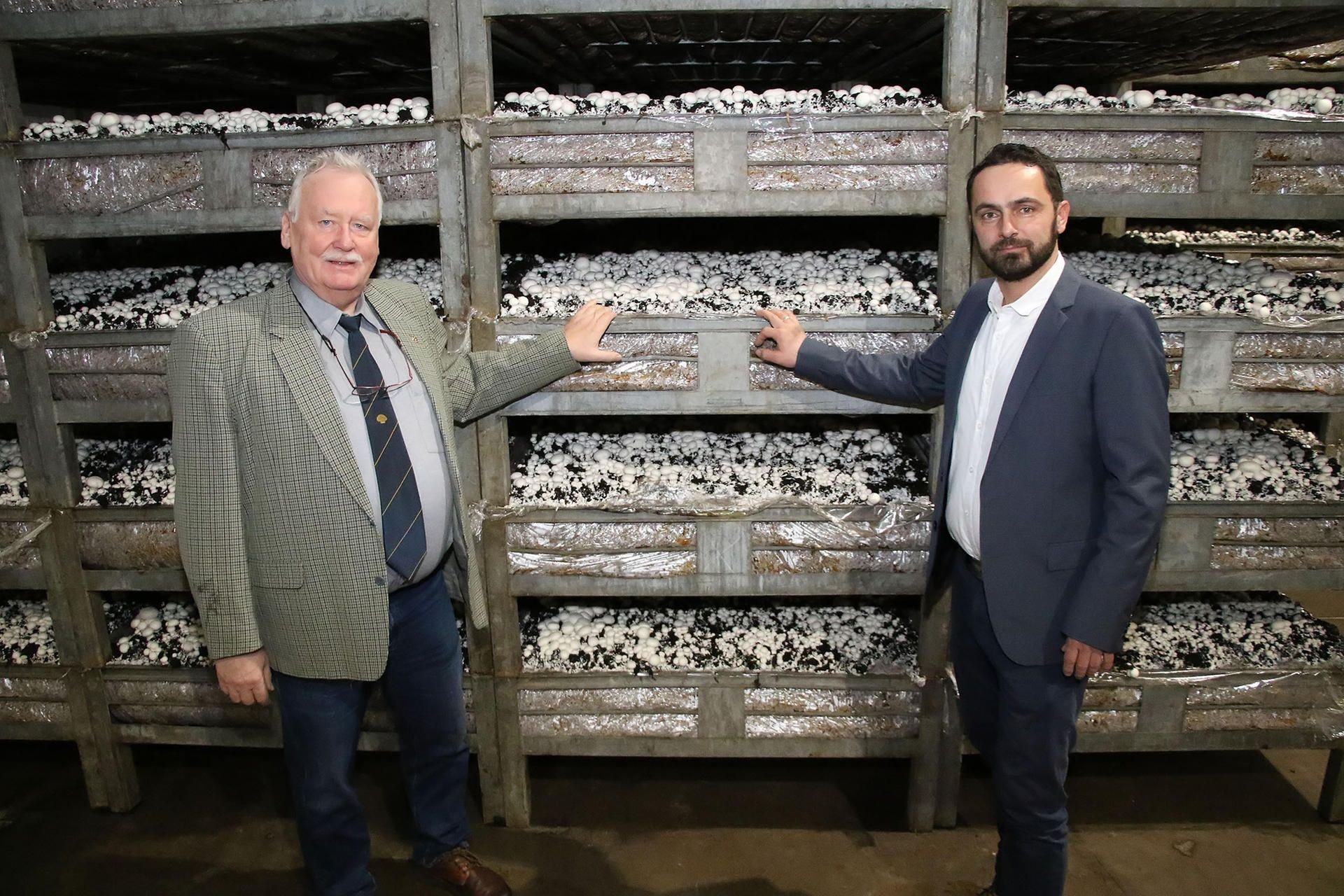 Michael Schattenberg und sein Nachfolger Holger Heitmann in einer der drei Produktionshallen des Pilzhofs.