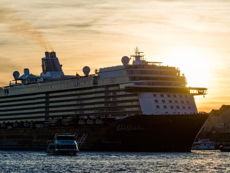 Das Kreuzfahrtschiff „Mein Schiff 6” fährt in Hamburg auf der Norderelbe. Foto: Christophe Gateau