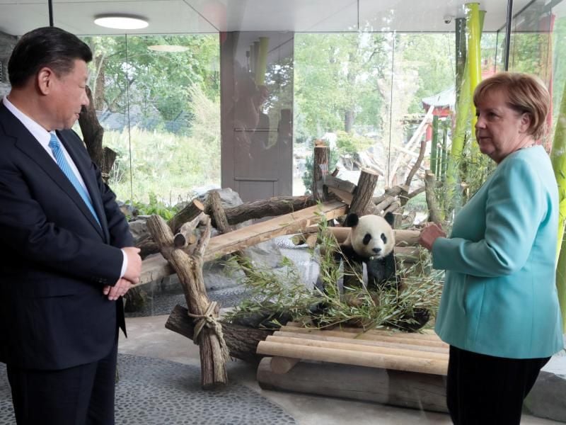 Angela Merkel und Xi Jinping bei der Eröffnung der neuen Anlage für zwei Pandabären aus China. Foto: Axel Schmidt