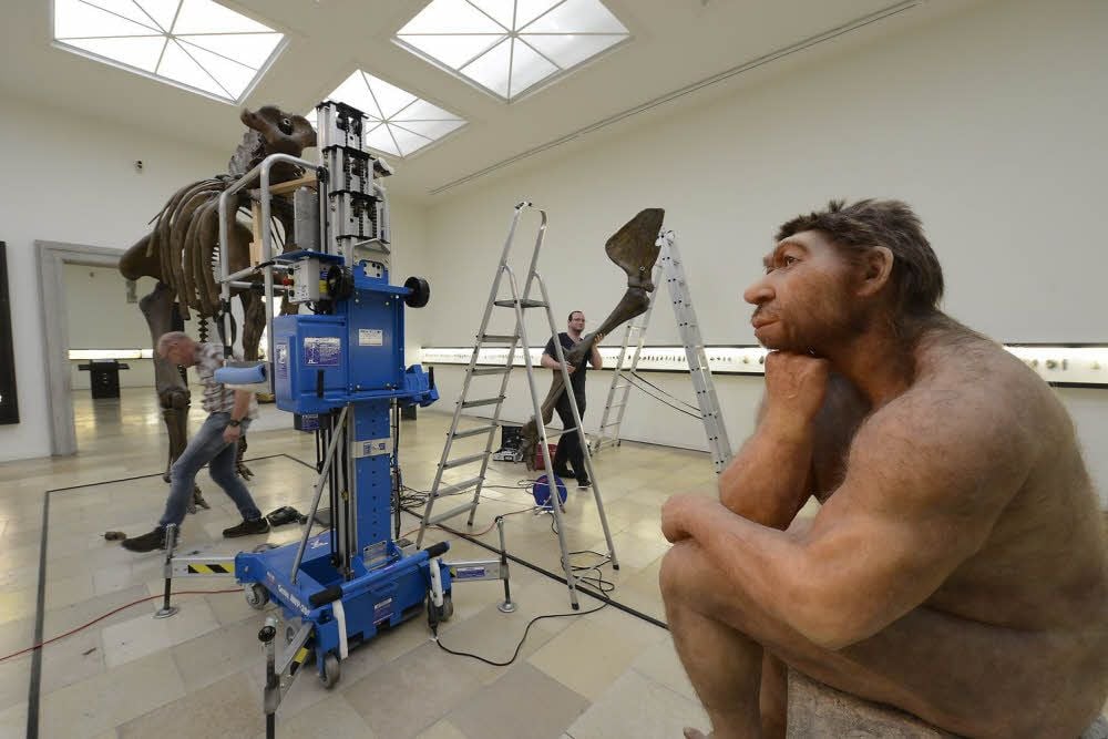 „Denker“ allein zu Haus: Für ein Jahr muss der Neandertaler im großen Saal des Landesmuseums ohne sein Mammut die Stellung halten.