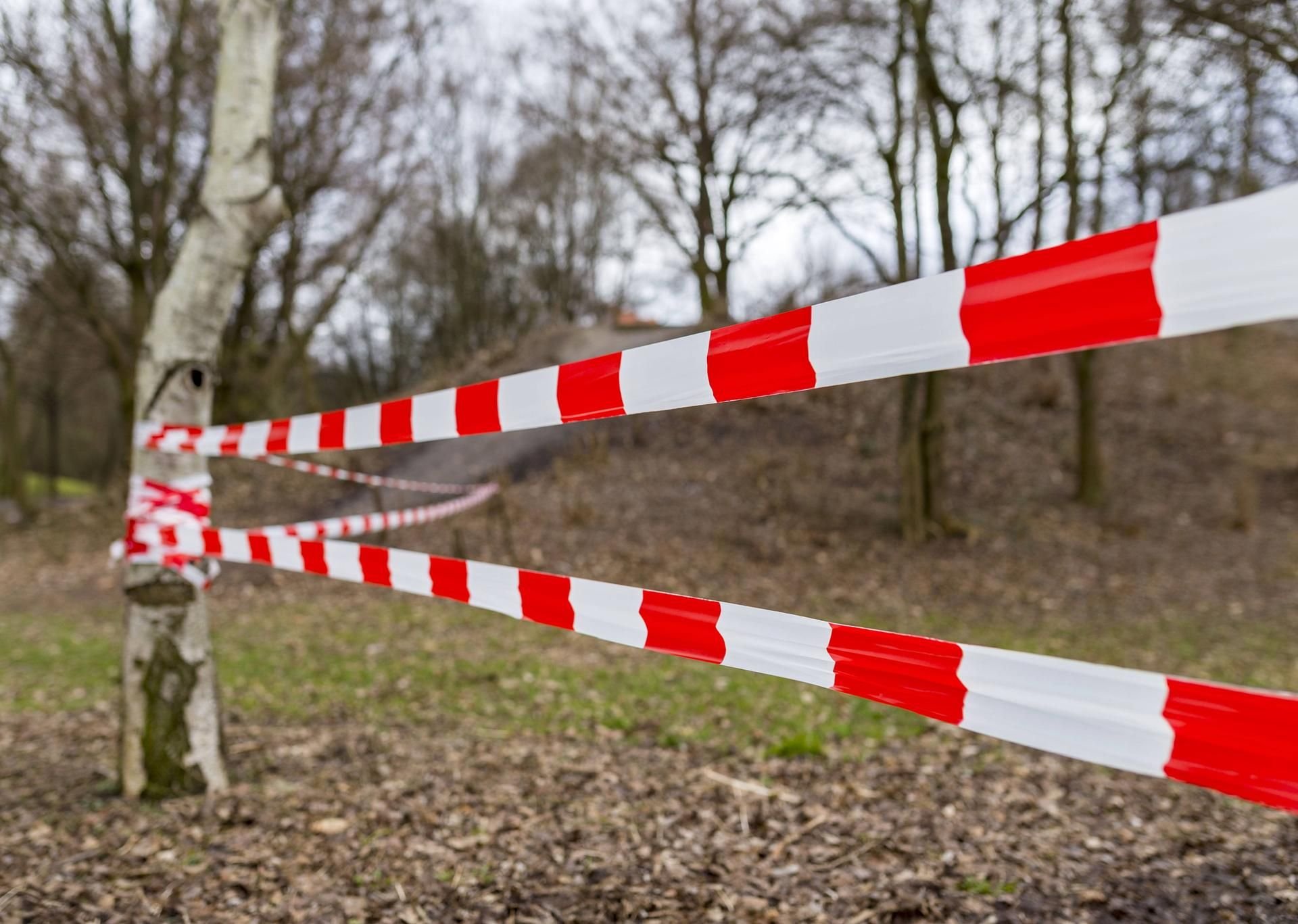 Absperrband der Polizei in einem Waldstück
