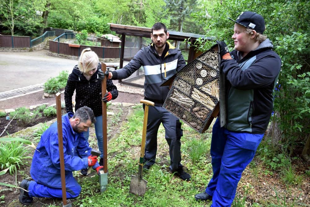 Eine Aktion des BBI im Heimatnaturgarten Weißenfels. Hier wurden von Jugendlichen drei Insektenhotels, ein Marienkäfer- und ein Schmetterlingshaus im Tierpark angebracht, die sie selbst gebaut haben. Sebastian Schönfeld (von links), Jasmin Hoffmann, Patrick Rosenhahn und Erik-Peter Meisel sind stolz.