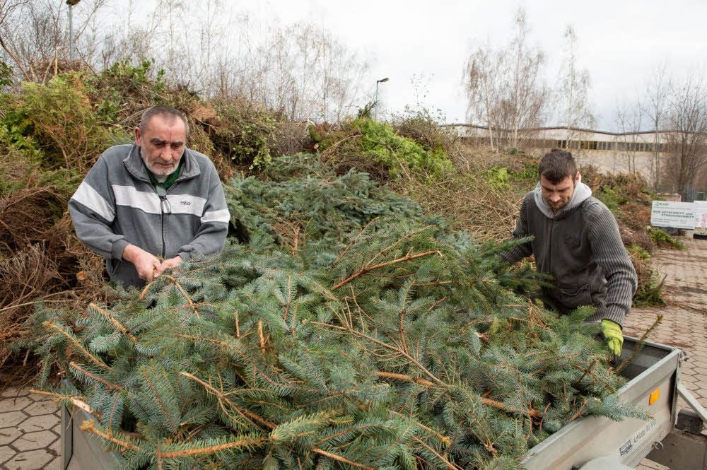 Benjamin Schnell (rechts) und Gerd Milker aus Theißen nutzen die Möglichkeit, den Grünschnitt aus dem Garten auf dem Wertstoffhof in Zeitz zu entsorgen. Sie sind entschieden gegen das Verbrennen von Gartenabfällen und nutzen schon seit Jahren den Wertstoffhof.