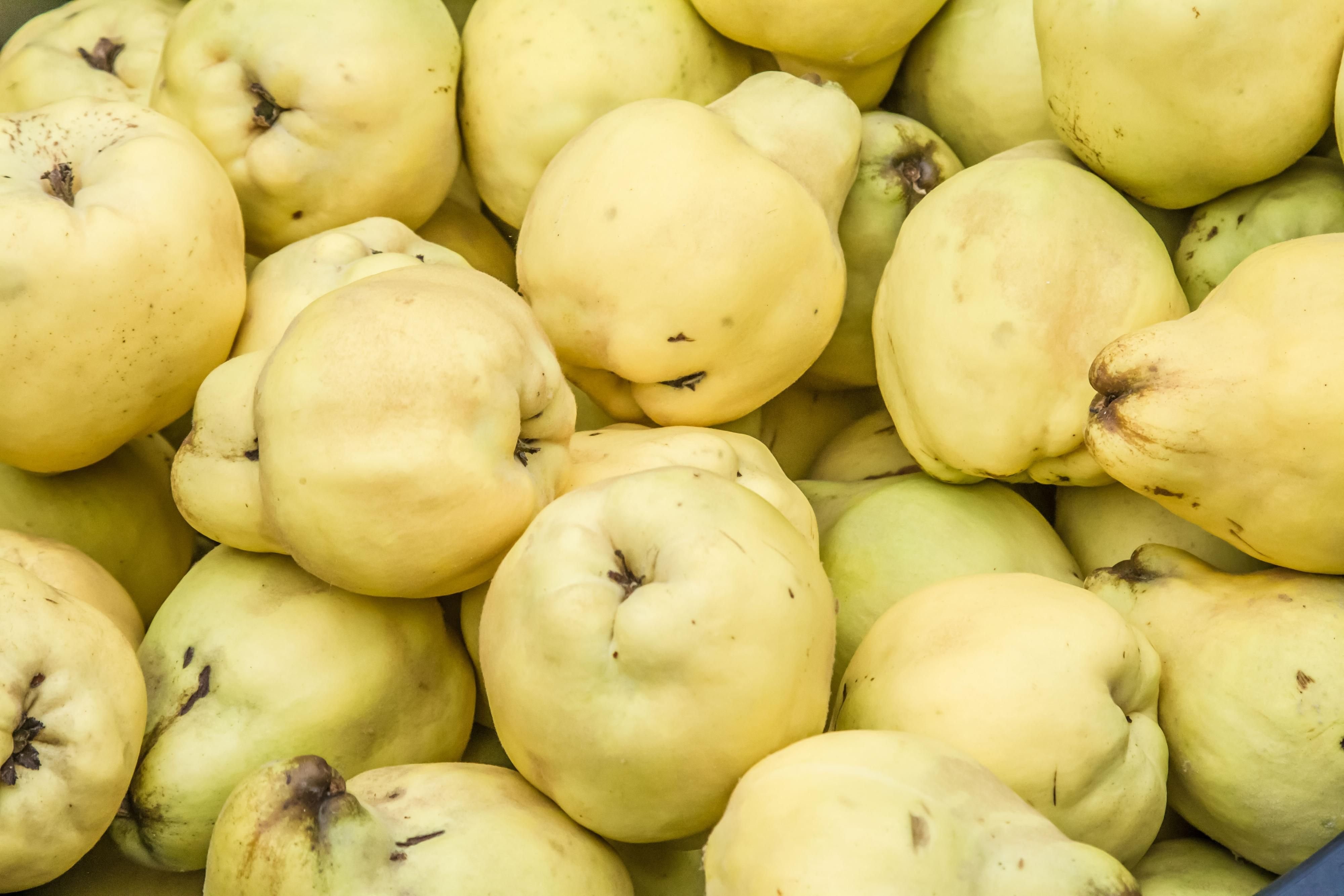 Quitten sollen sehr gesund sein.