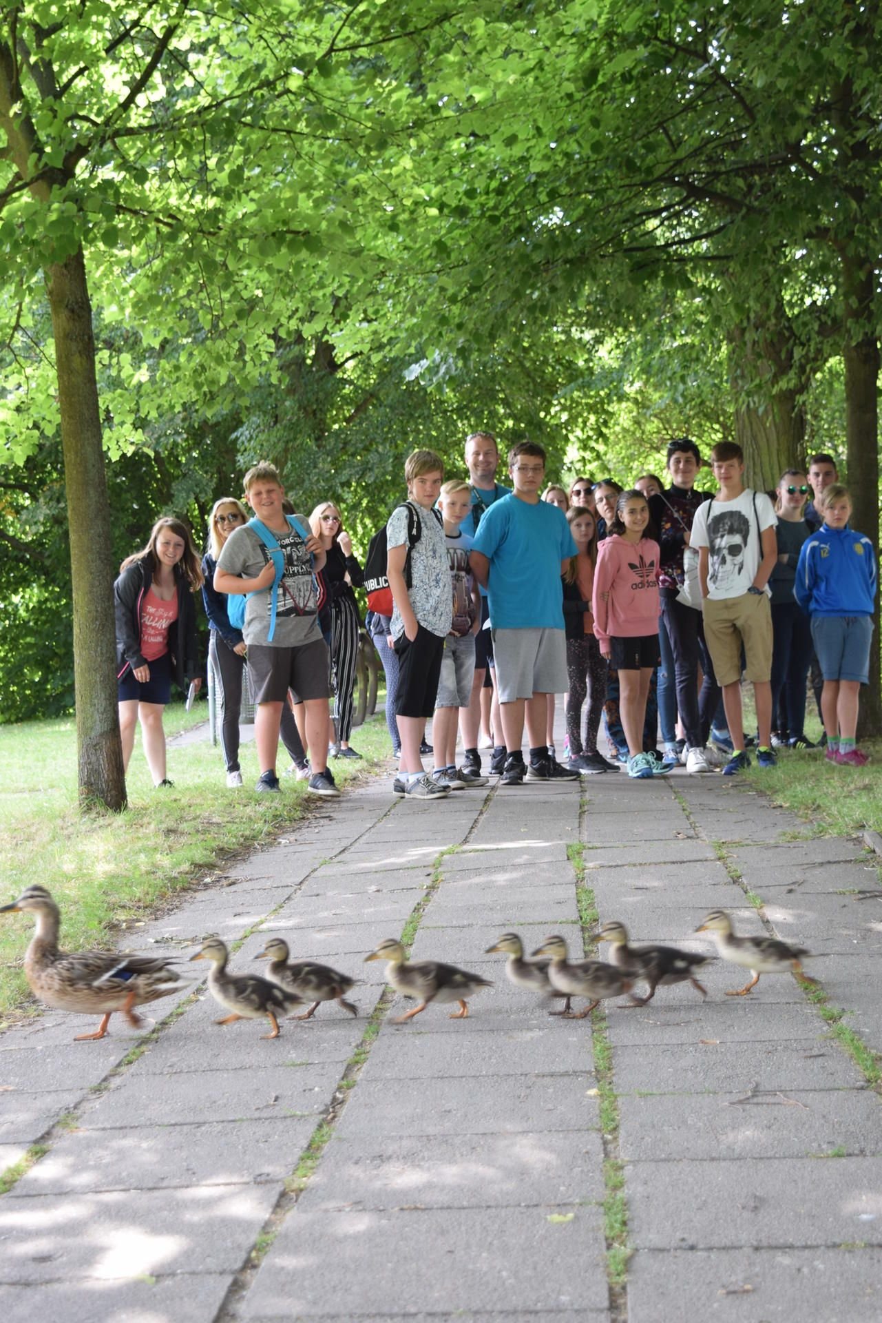 Die Schüler aus dem slowakischen Vrbové, der Partnerstadt von Allstedt, besuchern aktuell das Sommercamp in der Rohnestadt.