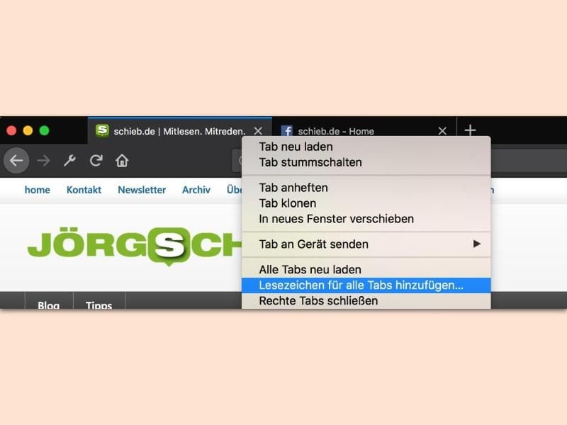 Im Firefox-Browser lassen sich alle geöffneten Tabs gleichzeitig als Lesezeichen speichern. Foto: dpa-infocom