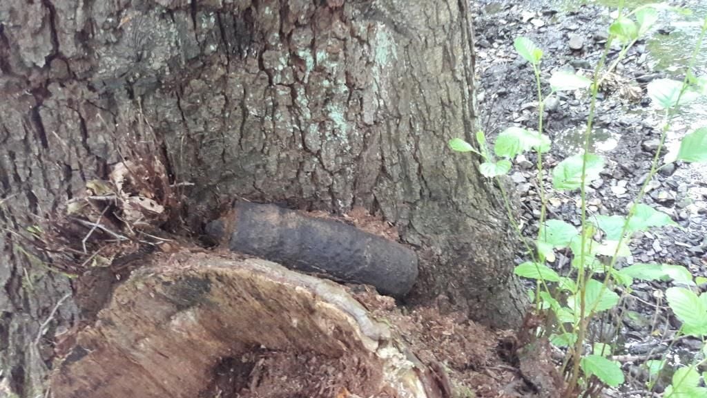 Eine Spaziergängerin auf einem Waldweg zwischen Heimburg und Elbingerode hat am Dienstagmorgen eine Panzergranate aus dem 2. Weltkrieg gefunden.