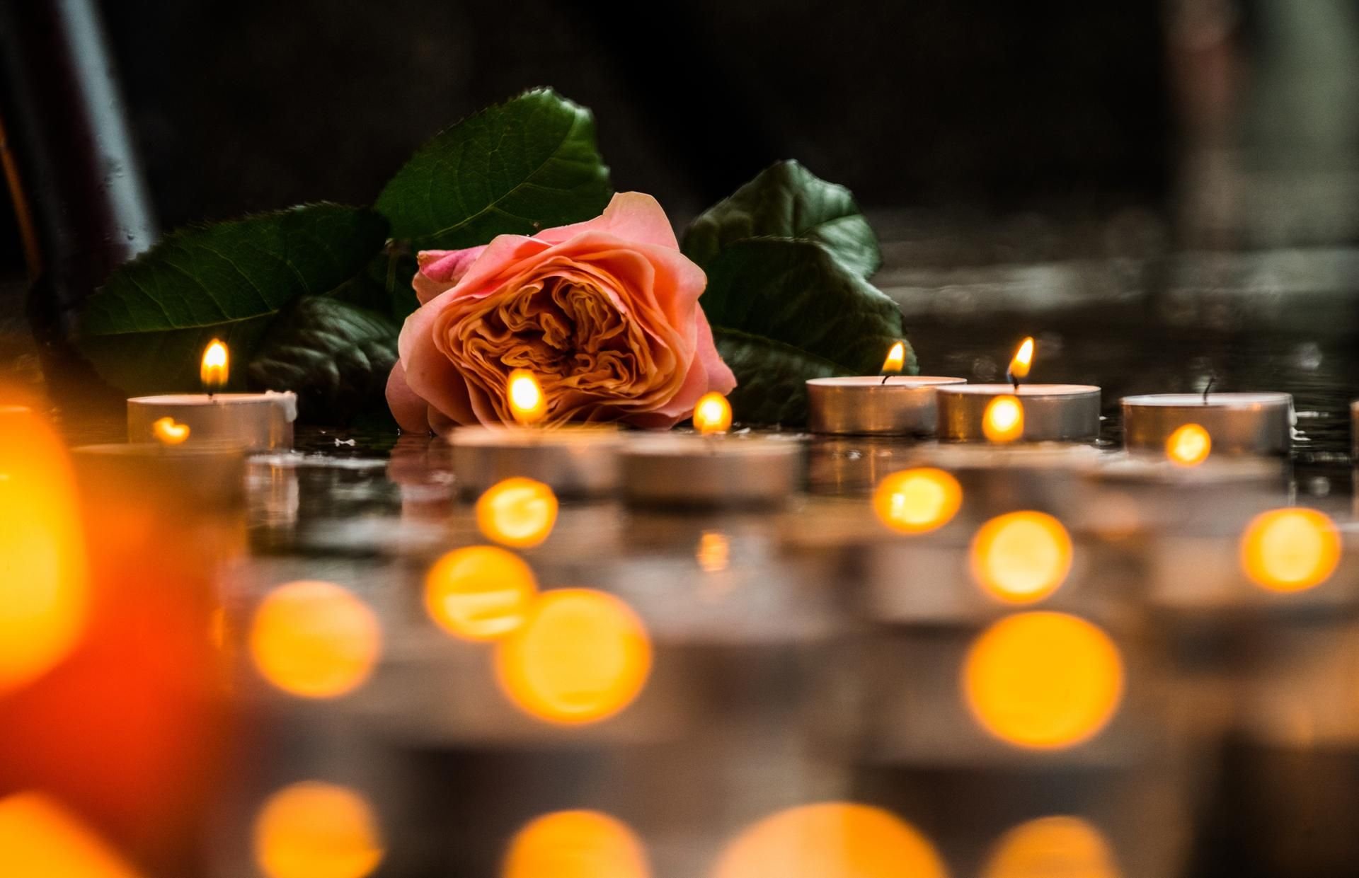 Eine Rose liegt zum stillen Gedenken für Susanna zwischen Teelichtern.