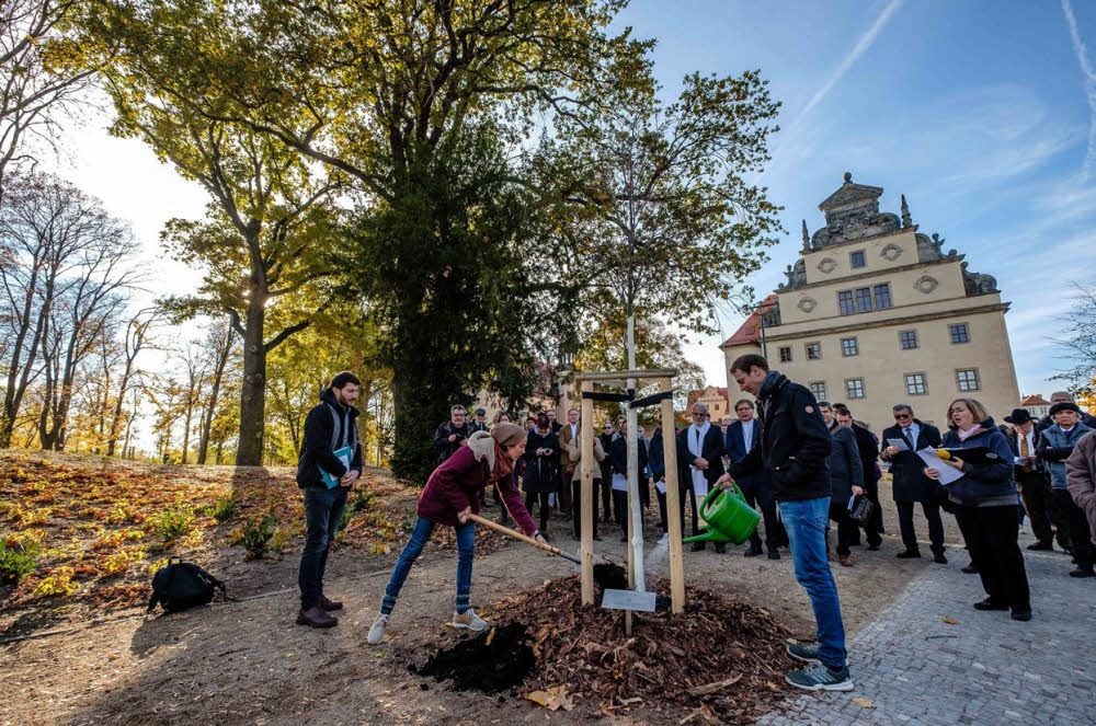Und das hier ist nun der allerletzte Baum des Luthergartens. Es ist eine Winterlinde, gepflanzt vom Nachwuchs des Lutherischen Weltbundes. Am Spaten: Sophie Bimmermann.