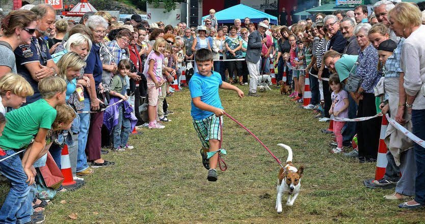 Auch das Hunderennen wird es diesmal wieder geben.