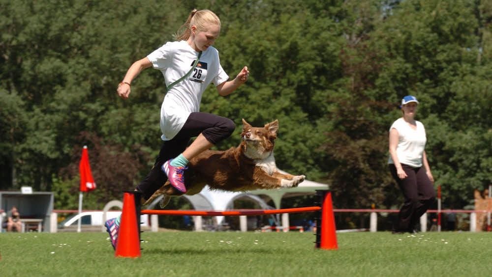 Hundesport setzt Teamgeist voraus. Ronja-Lucia Ebert und Elli aus Ilmenau bewiesen das beim Hürdenlauf auf eindrucksvolle Art und Weise.