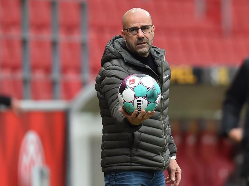 Leverkusens Trainer Peter Bosz trifft mit seinem Team auf OGC Nizza. Foto: Torsten Silz/dpa