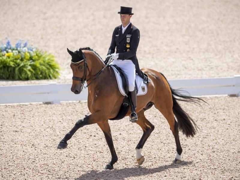 Sönke Rothenberger ist mit seinem Pferd Cosmo bei der DM auf Medaillen-Jagd. Foto: Stefan Lafrentz