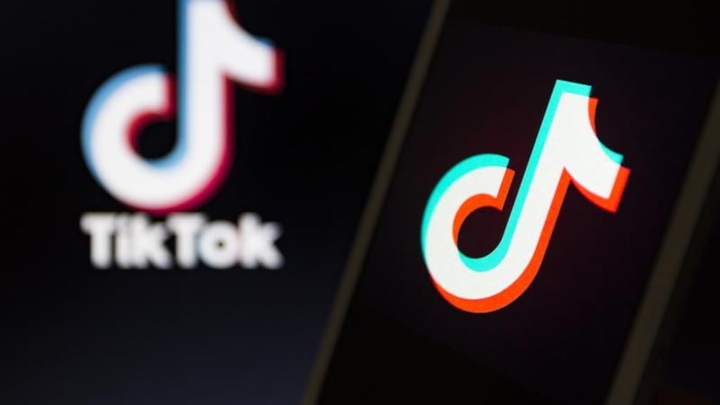 Die chinesische Videoplattform Tiktok ist besonders bei Jugendlichen und jungen Erwachsenen beliebt.