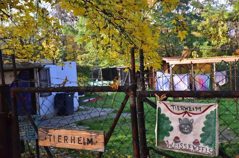 Das alte Katzenheim in Weißenfels.