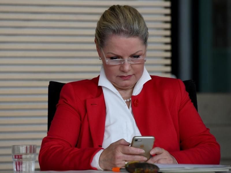 Doris von Sayn-Wittgenstein auf ihrem Einzelplatz im schleswig-holsteinischen Landtag: Sie war im Dezember aus der AfD-Landtagsfraktion ausgeschlossen worden. Foto: Carsten Rehder