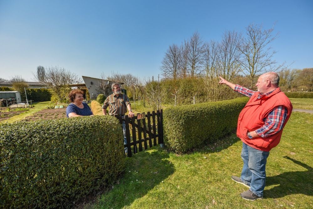 Der Vereinsvorsitzende Bernd Meinecke (rechts) im Dialog mit Kleingärtnern Birgit und Gerd Below.