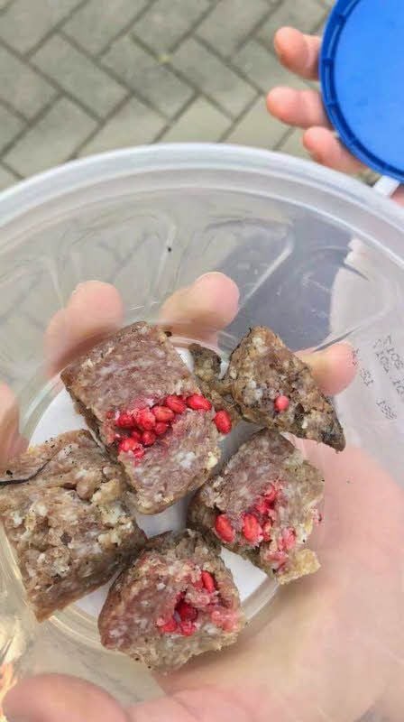 Rote Rattengiftkörner steckten in der Bratwurst.