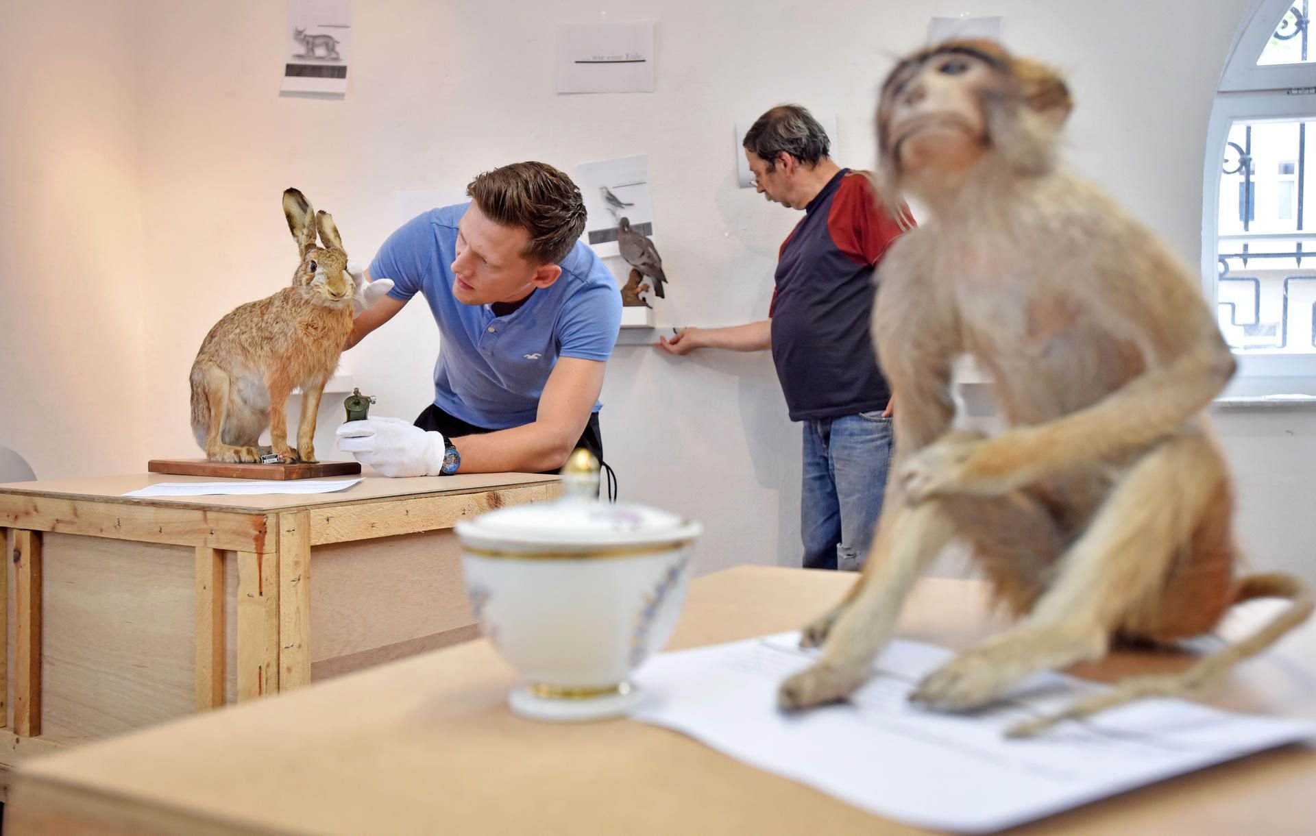 Die Ausstellung wird derzeit aufgebaut, am Mittwoch wird sie eröffnet.