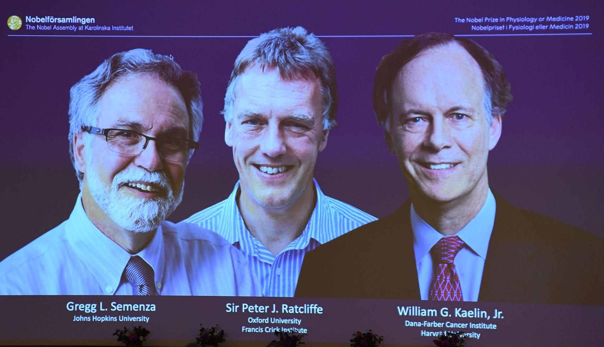 Die diesjährigen Gewinner: Gregg Semenza, Peter Ratcliffe und William Kaelin (v.l.n.r.)