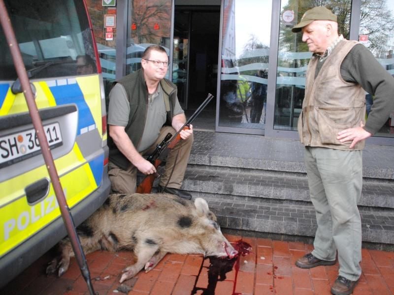 Ein Jäger kniet neben dem von ihn erlegten Wildschwein vor einer Sparkassen-Filiale in Heide. Foto: Helge Holmson