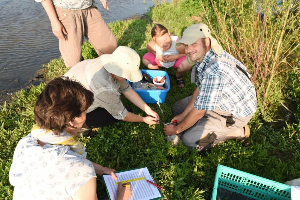 Tier für Tier wurde markiert und von den Naturschützern registriert.