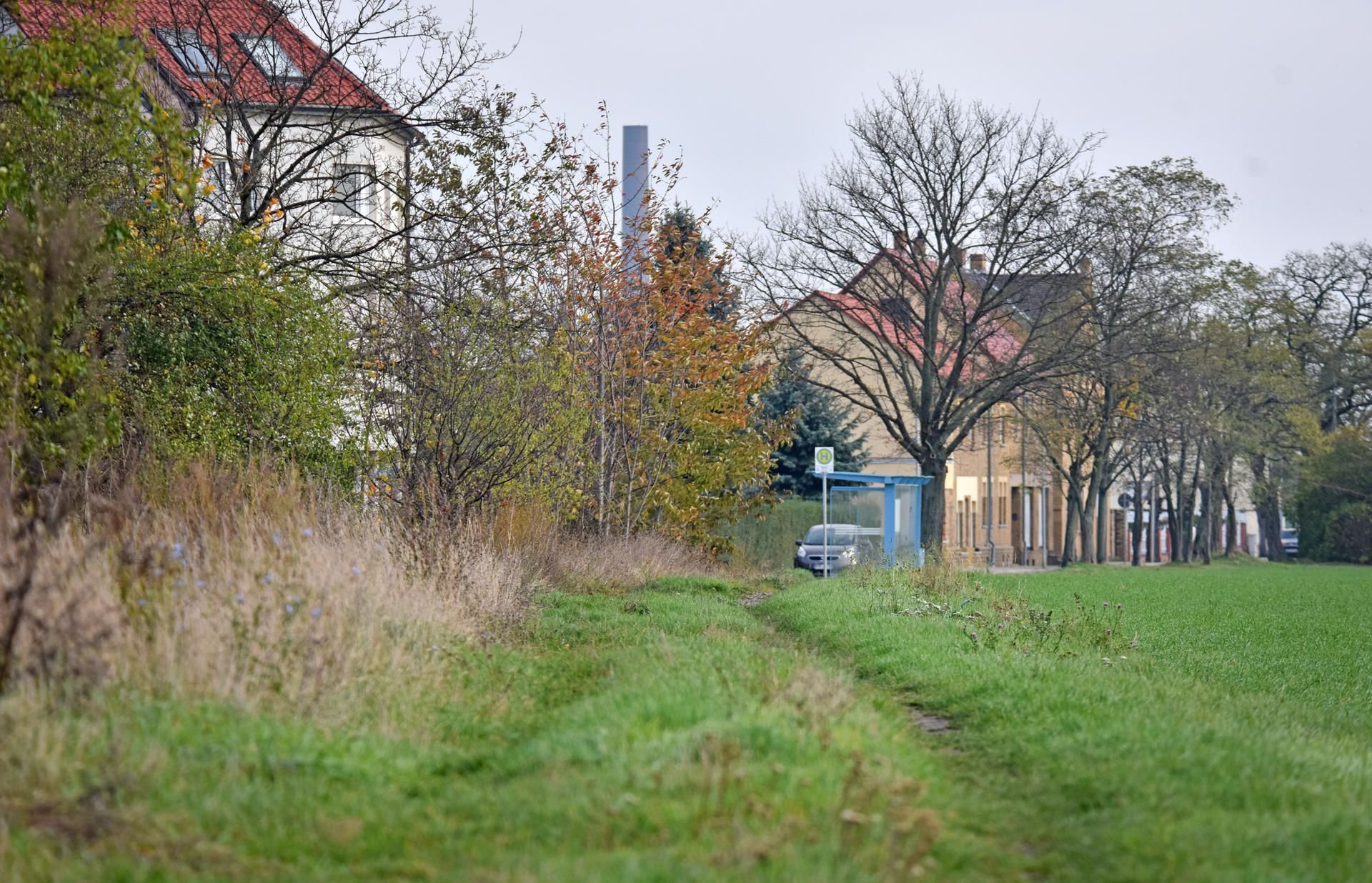 Übers Feld wird die neue Verbindung führen.