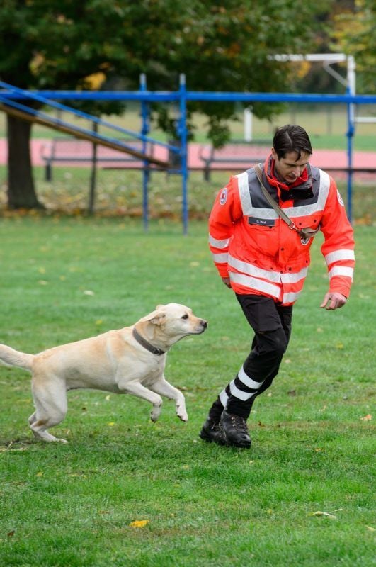 Eins der sechs angetretenen Hundeteams: Gerrit Wolf und Labrador Maila