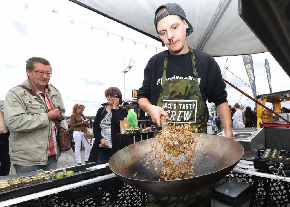 Bei Dr. Bob werden Mehlwürmer frittiert und zum Knuspern bereitet.