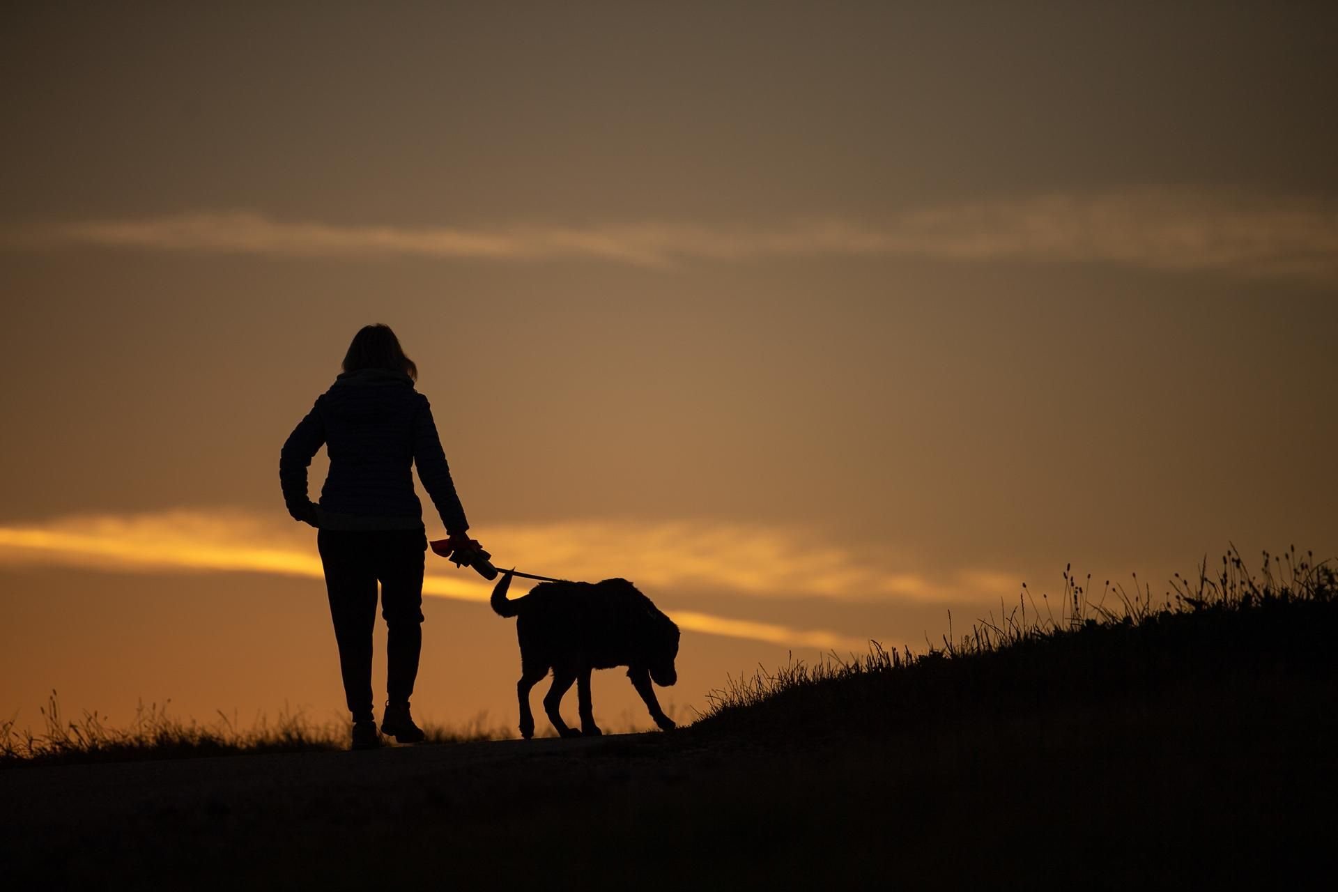 Eine Frau geht am Morgen mit ihrem Hund spazieren.