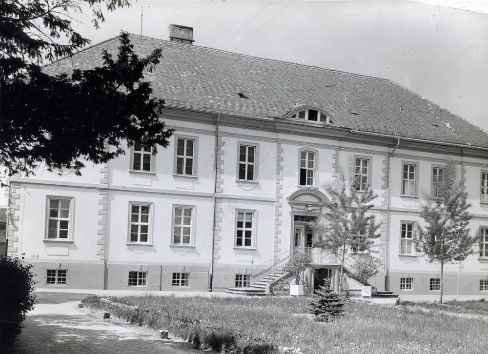Das Kühnauer Schloss um 1950. Ab 1949 wurde es als Gewerkschaftsschule für Funktionäre aus ganz Mitteldeutschland genutzt.