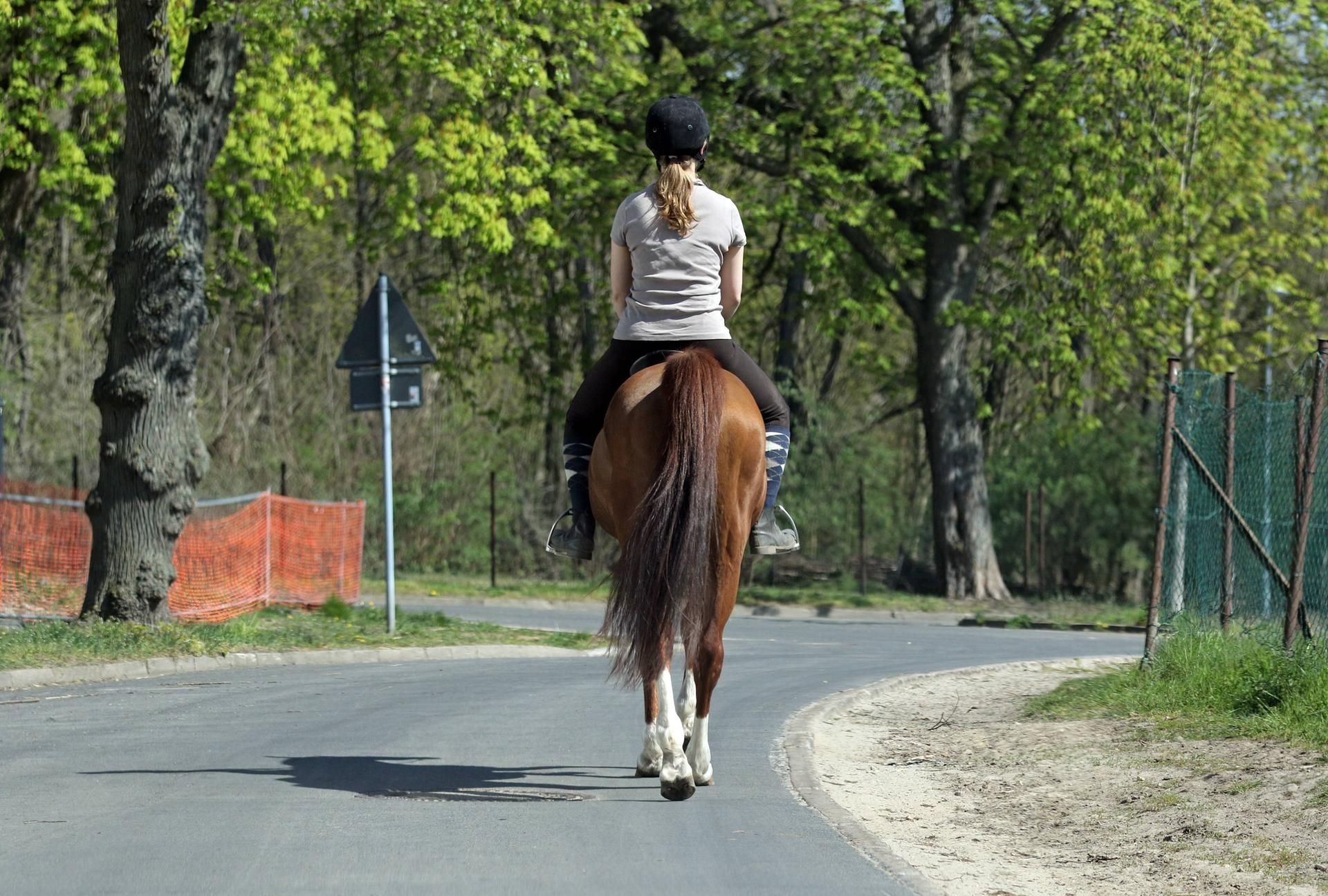 In Schleiz ist eine Reiterin bei einem Unfall mit einem Lkw schwer verletzt worden. (Symbolbild)
