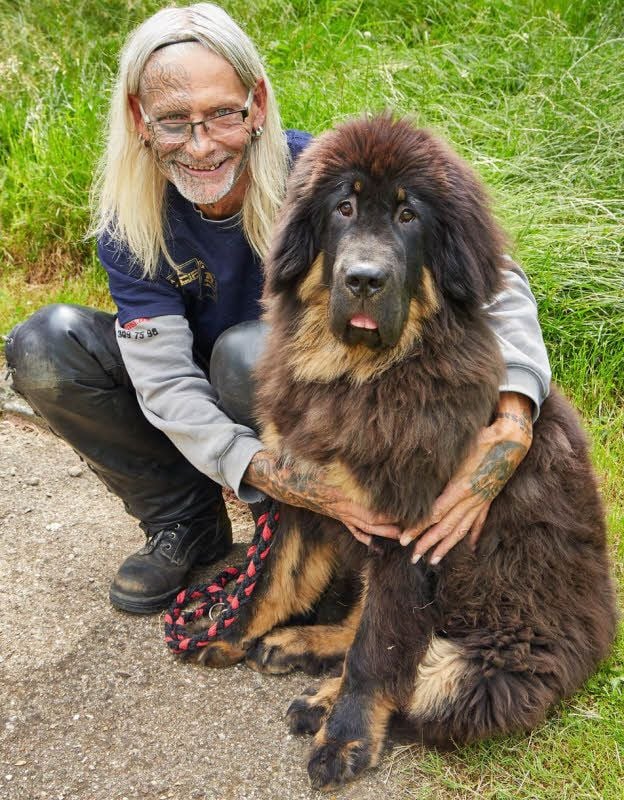 Hundeverhaltenstrainer Erhard Royke lebt mit seinem Wegbegleiter Sir Hagrid, ein Tibetanischer Mastiff, nun in Zickeritz.