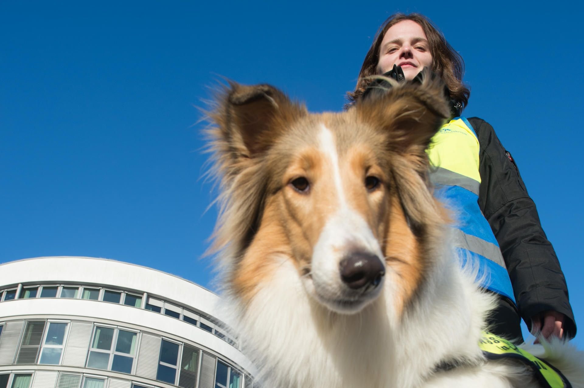 Die Hundeverhaltenstherapeutin und Hundetrainerin Christina Jakobs stehthinter der Collie-Hündin Fay, die sie derzeit zum Begleithund ausbildet.