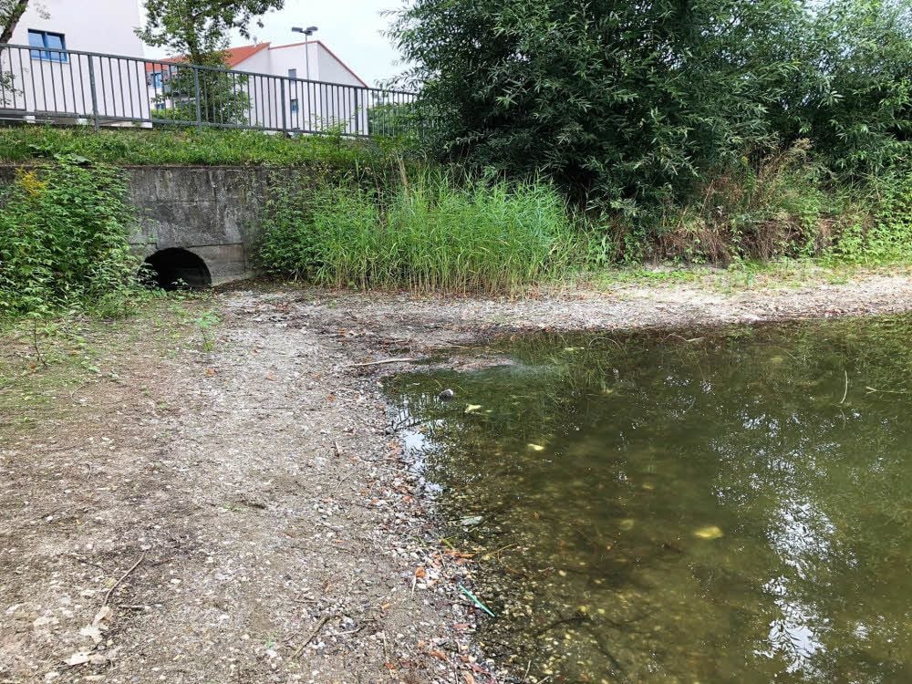 Der Einlauf des Lober in den Großen Teich liegt noch immer trocken.
