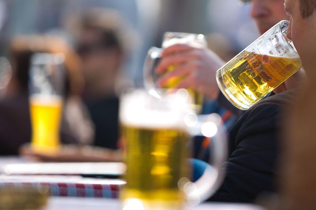 Durch Alkohol ereignete sich ein Unfall im Salzlandkreis.