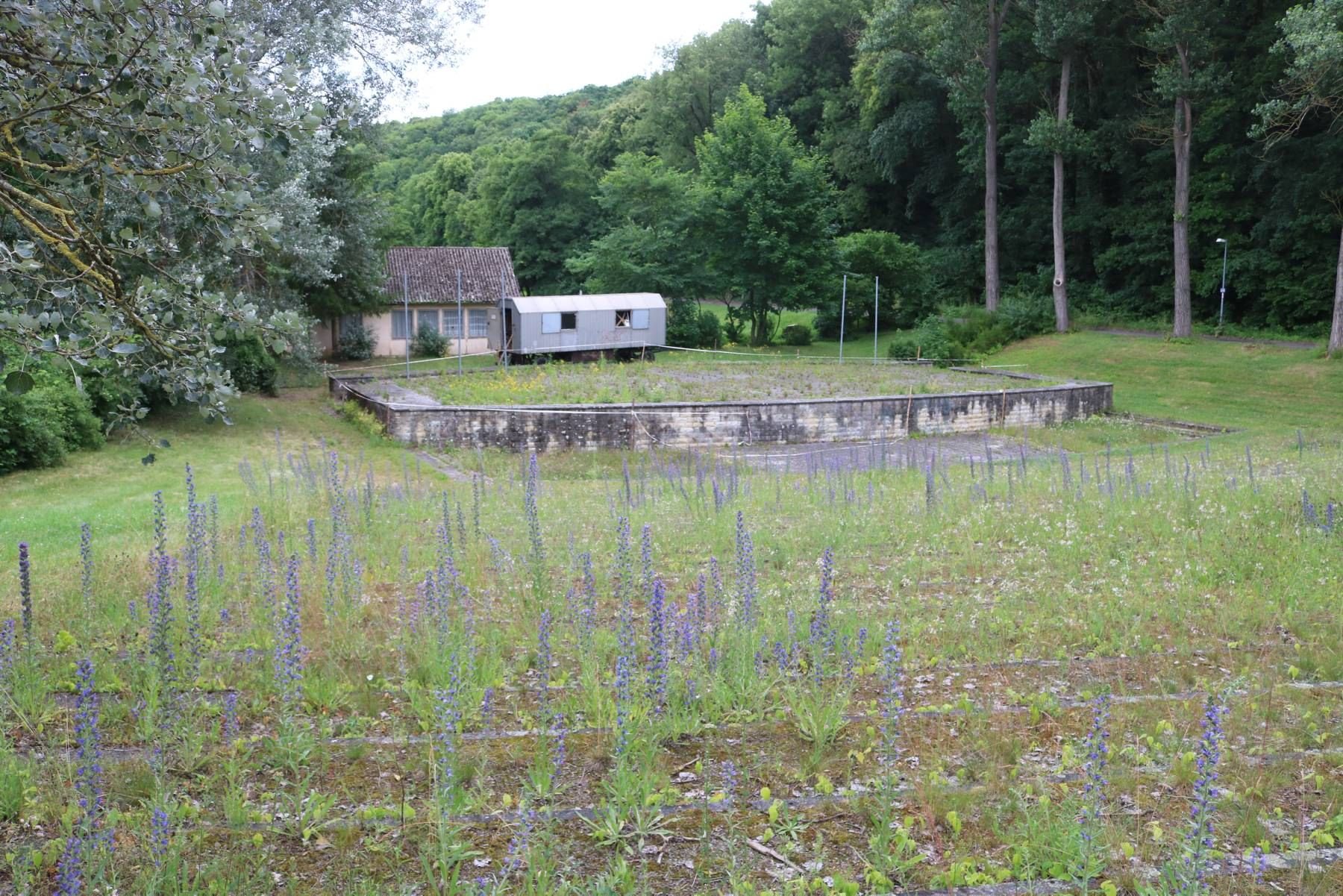Die ehemaligen Freilichtbühne an der Sangerhäuser Walkmühle soll zurückgebaut werden.