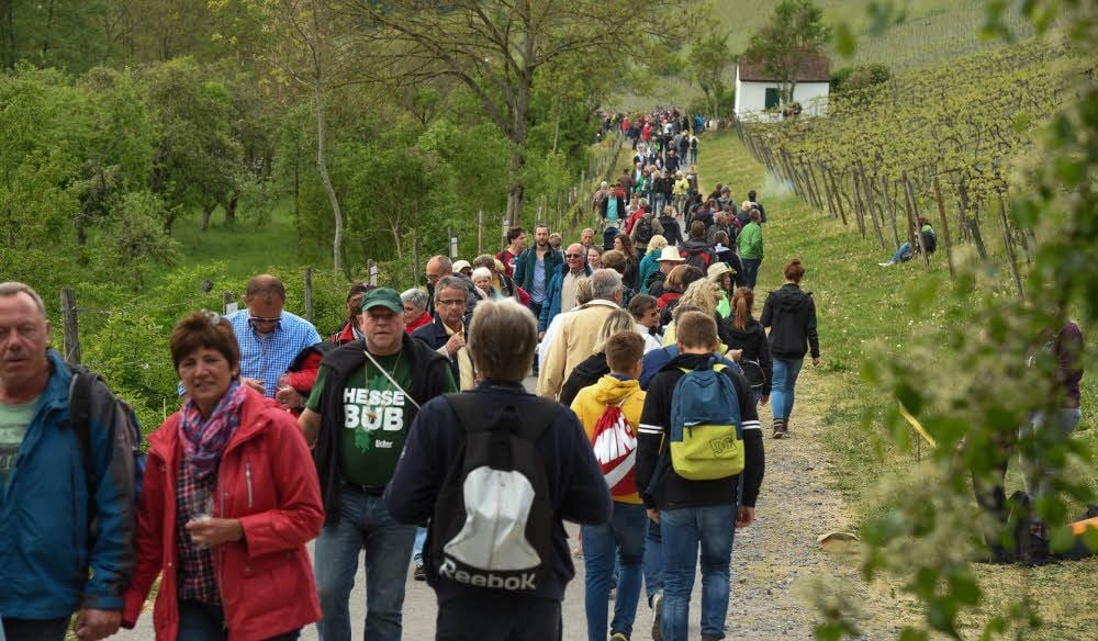 Die Weinmeile wird auch in diesem Jahr Tausende Besucher in die Weinberge zwischen Roßbach und Bad Kösen ziehen