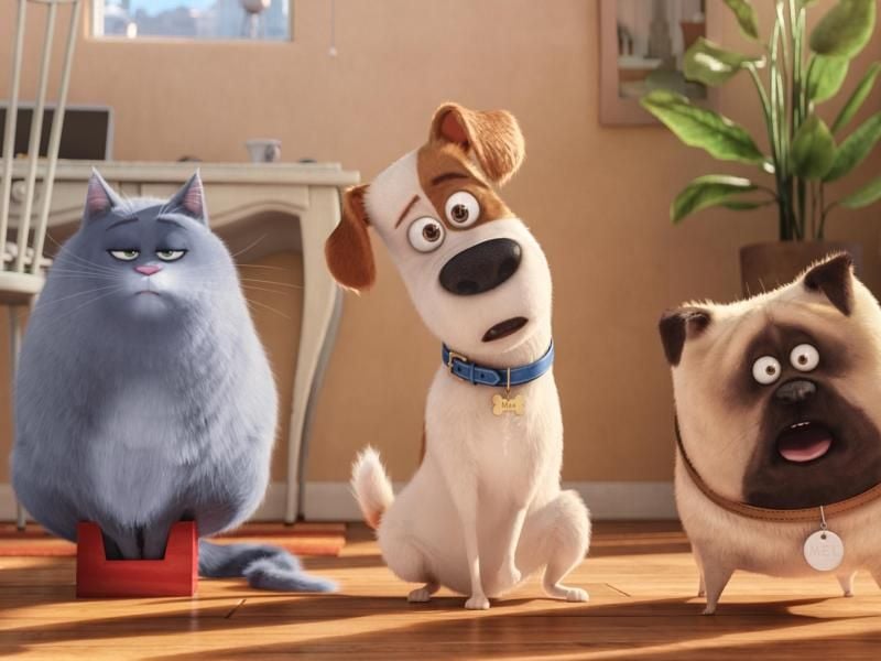 „Pets” enthüllt das geheime Leben der Haustiere. Foto: Universal Pictures