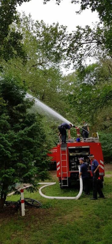 Feuerwehrleute pumpen Wasser aus dem Teich und wieder hinein, um den Sauerstoffgehalt zu erhöhen.