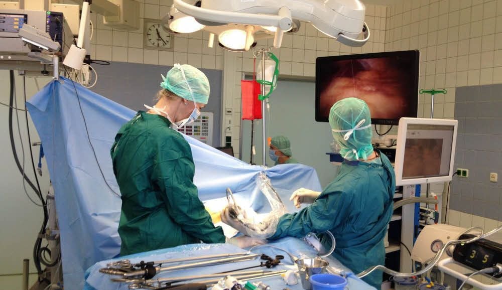 Im Urologischen Zentrum der Asklepios-Klinik Weißenfels kann mit 3D-Technik operiert werden. Mit einer speziellen Brille erhält der operierende Arzt ein räumliches Abbild von dem Bereich unter der Bauchdecke, in den er mit einem Laparoskop nebst Kamera und Beleuchtung sowie seinen Instrumenten vordringt. So kann er präzise arbeiten. In Weißenfels werden bei Operationen an den Nieren so in mehr als 60 Prozent der Fälle die Organe erhalten.