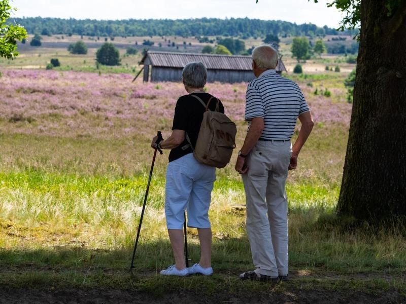 Zwei Wanderer blicken in die Landschaft in der Lüneburger Heide. Foto: Philipp Schulze/dpa