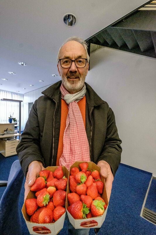 Erdbeeren sollen bald auch bei Nudersdorf wachsen.